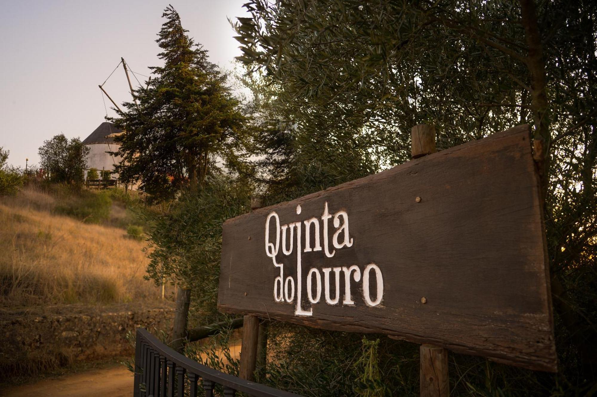 파멜라 Quinta Do Louro 게스트하우스 외부 사진